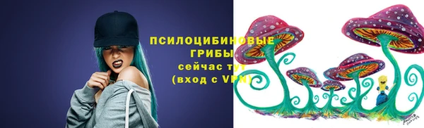 таблы Лиски