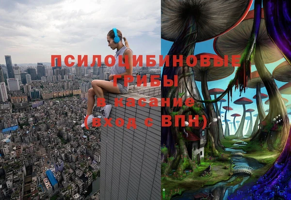 бутират Липки